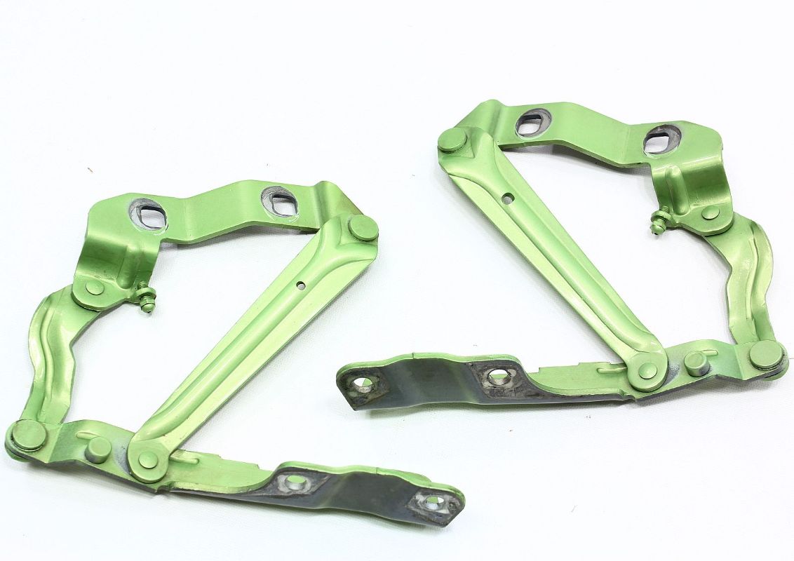 Hood Hinge Set 9810 VW Beetle Hinges Cyber Green Genuine OE