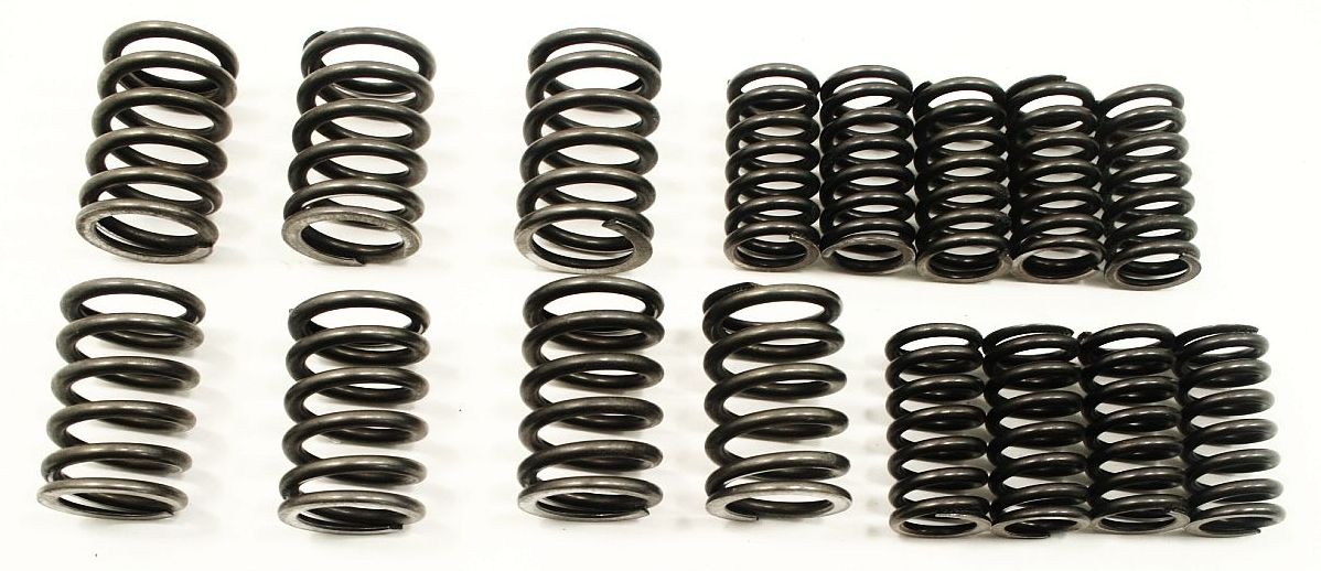 Valve Spring Set Audi TT MK1 VW Jetta Golf MK4 Beetle 1.8T Genuine OE eBay