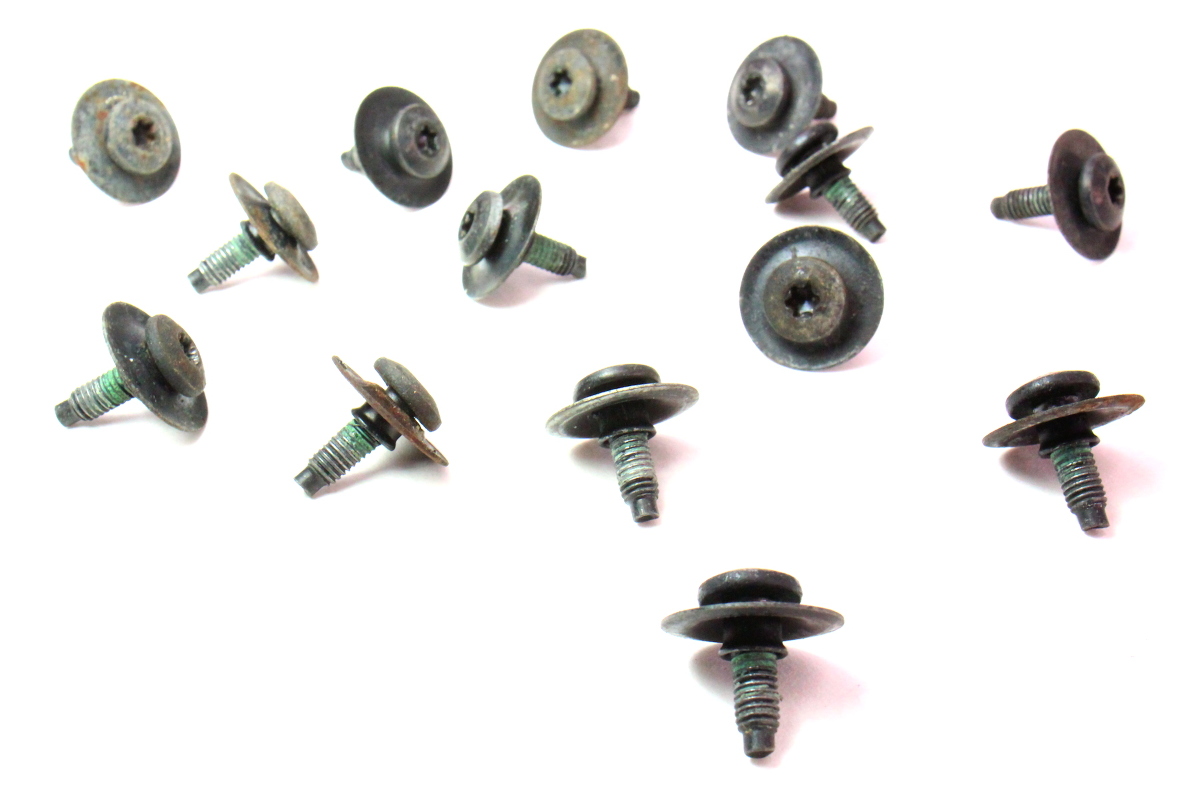 Fender Bolts Screws Hardware Fasteners 9805 VW Beetle Genuine