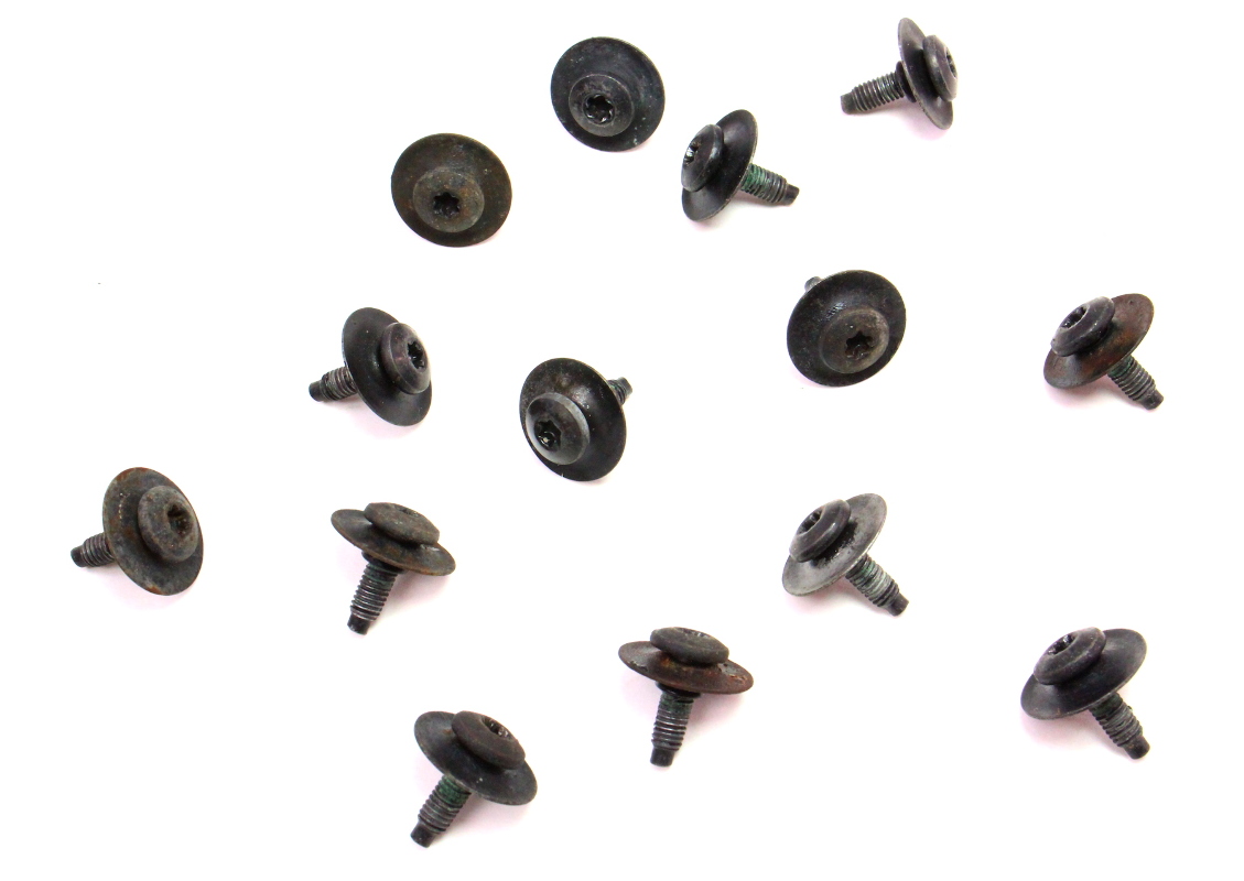 Fender Bolts Screws Hardware Fasteners 9805 VW Beetle Genuine