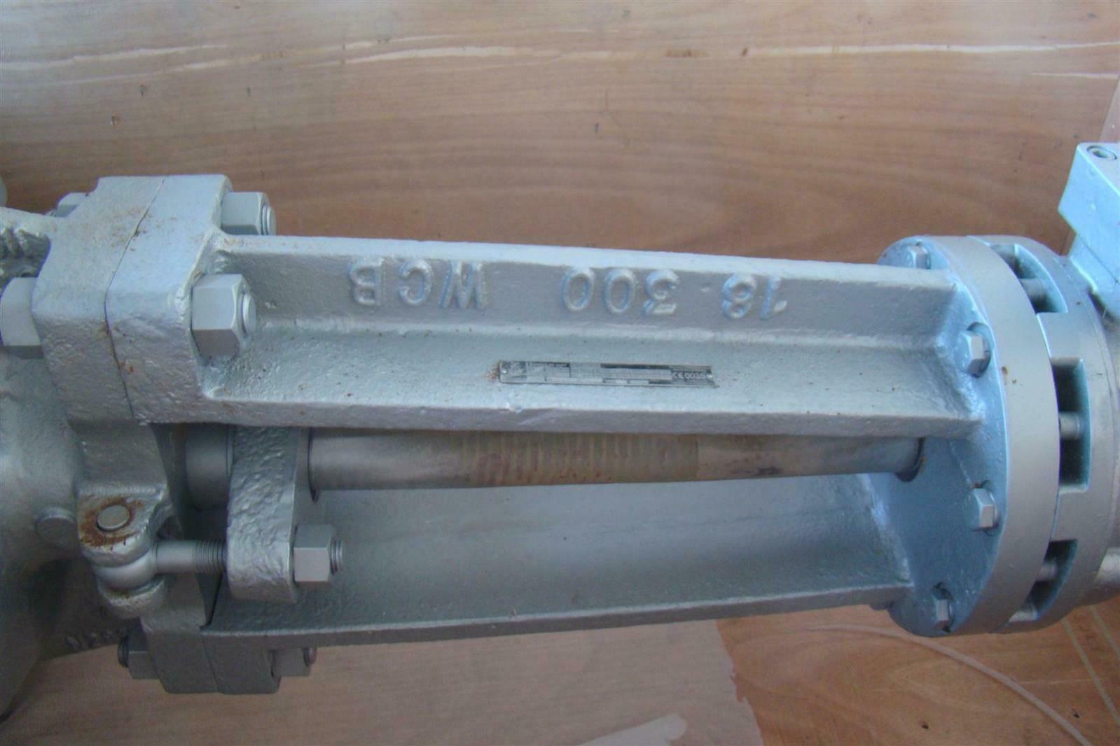 NEWCO CLASS 300 18 GATE VALVE N2847X EBay