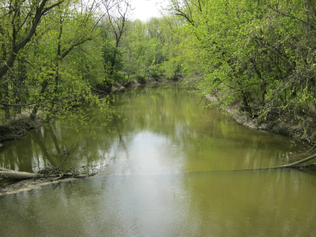 Beautiful Riverfront / Wooded Property NW OhioLots of Potential! eBay