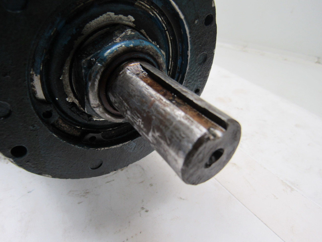 Viking HL4195 Heavy Duty High Speed Gear Pump 11/2" Ports 3/4" Shaft w