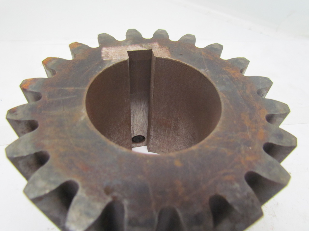 Martin TS420 20 51/2" OD Spur Gear 25/8" Keyed Bore 4 Pitch 20 Teeth