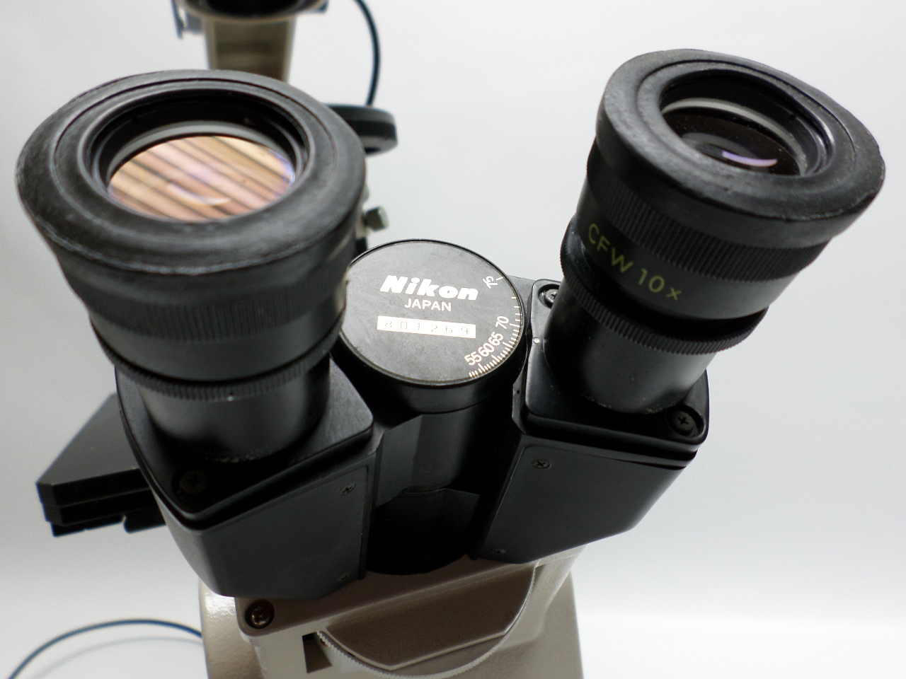 Nikon Diaphot Inverted Tissue Culture Microscope with Light Source