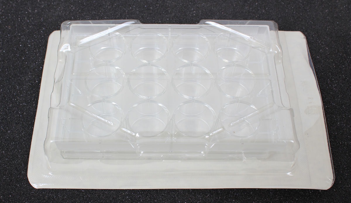 New! Lot of 21 Falcon 12 Well Tissue Culture Plate with Lid 3043