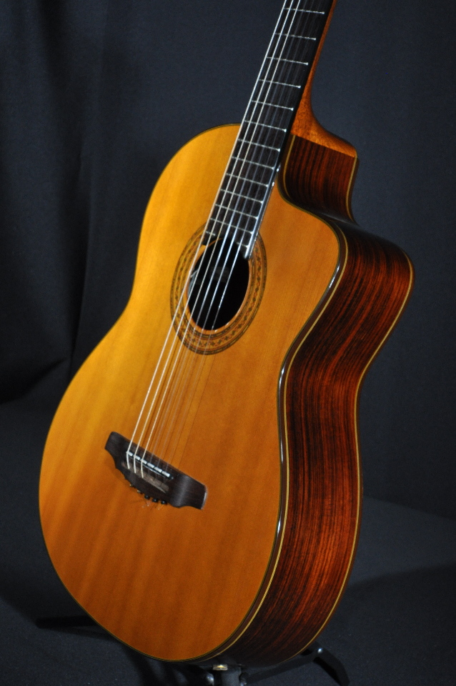 ALVAREZ PC50SE ACOUSTIC ELECTRIC GUITAR W/HARDSHELL CASE StreetSoundsNYC