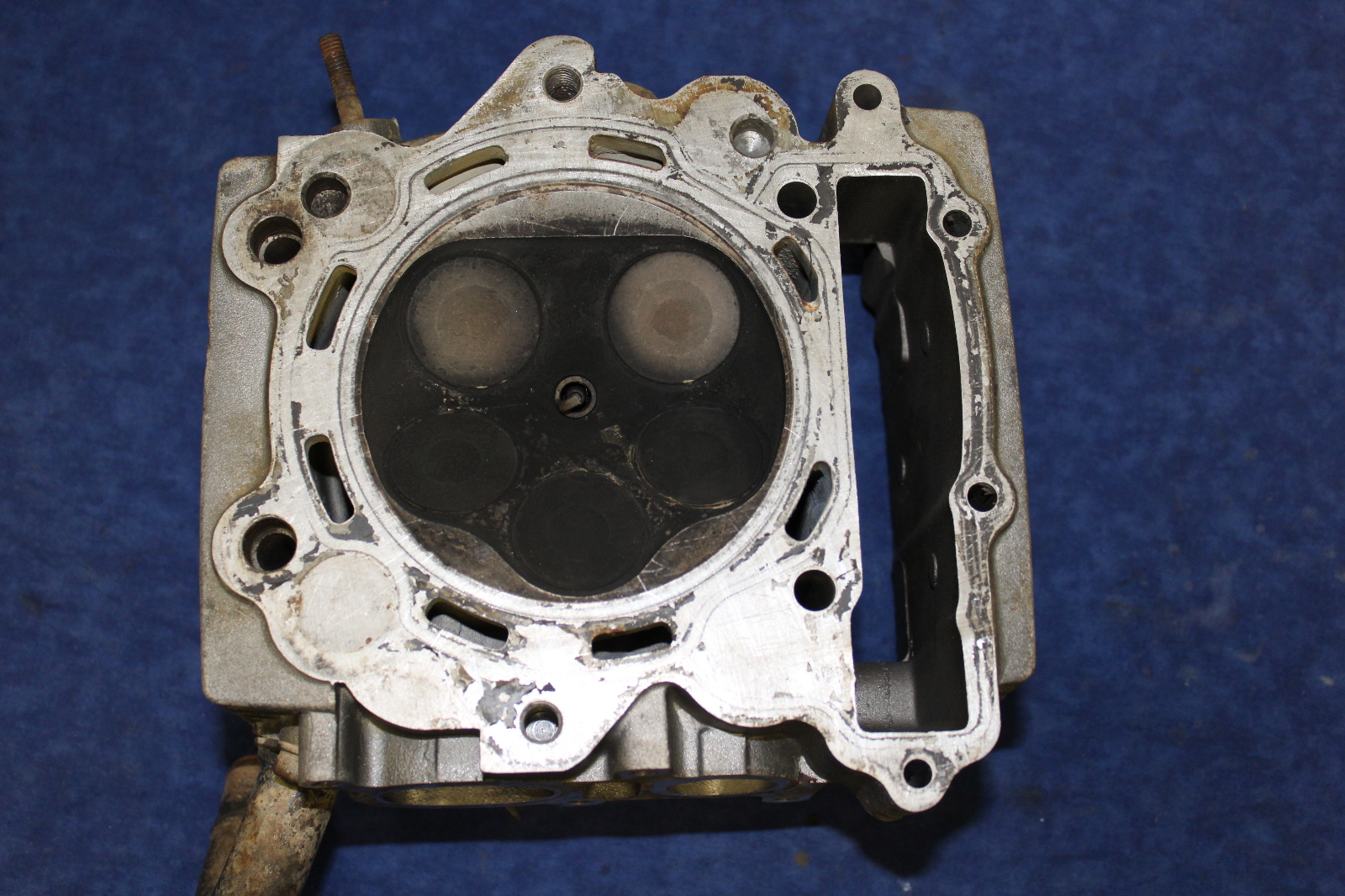 Yamaha ATV 0105 Raptor 660 Cylinder Head Assy 5LP111010300 Used eBay