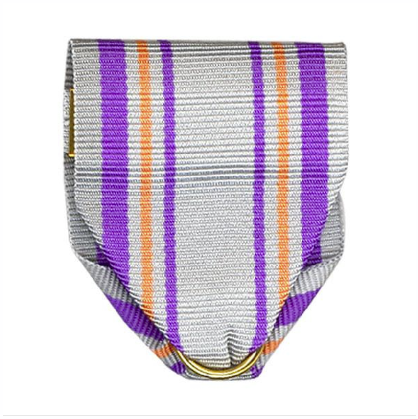 Vanguard ARMY ROTC RIBBON DRAPE N44 AJROTC GUIDON BEARER PIN AND