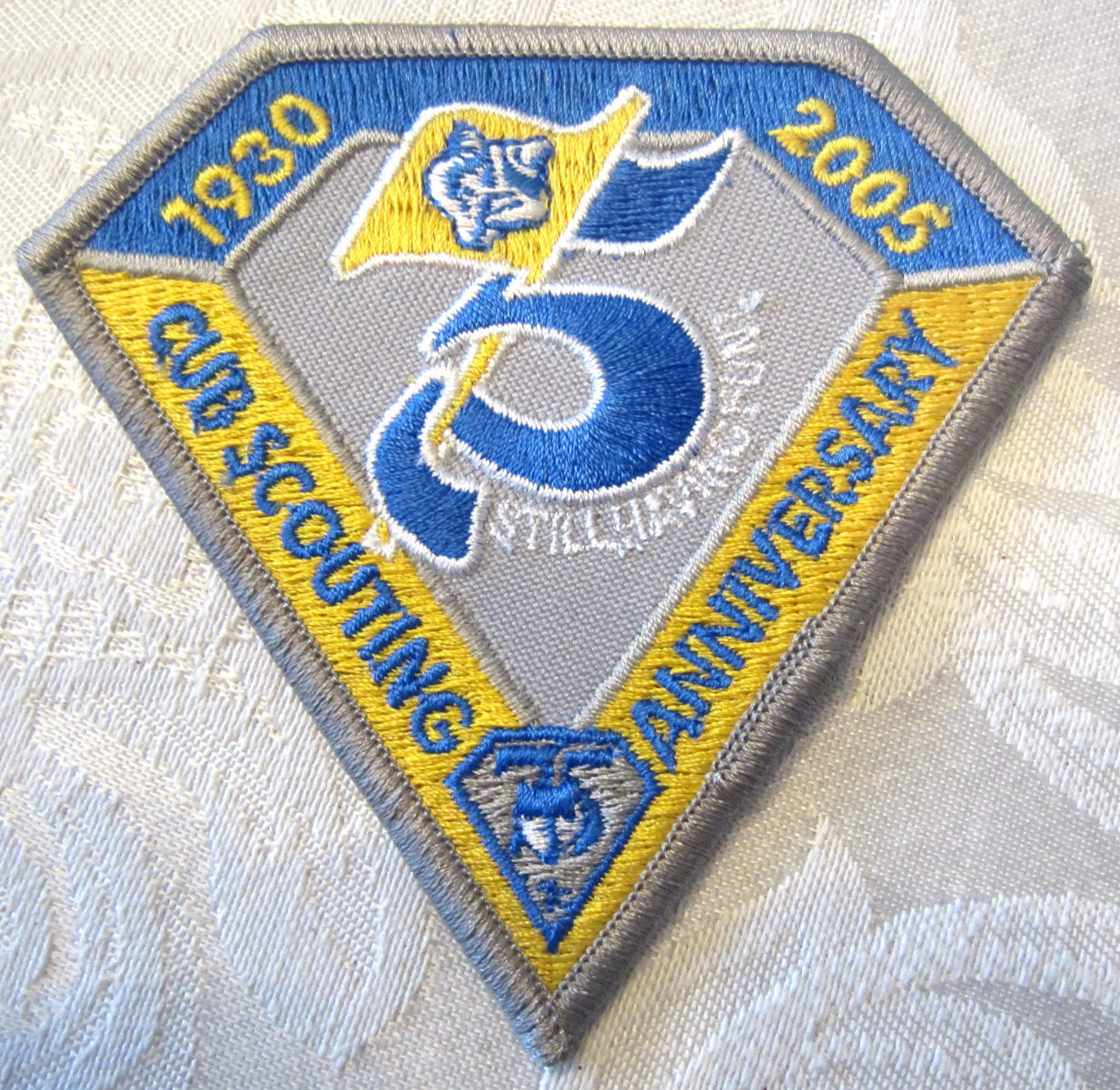 Bsa Boy Scout Uniform Patch Yellow And Blue Silver 2005 Cub Scouting