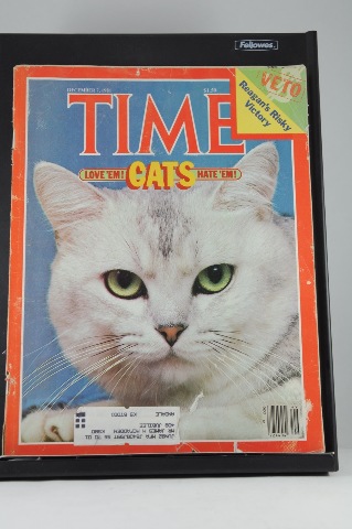 Time Magazine Dec 7 1981 Cats: Love 'em! Hate 'em!; Reagan's Risky Victory