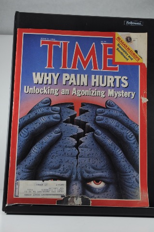 TIME Magazine June 11 1984 Why Pain Hurts; Reagain in Europe