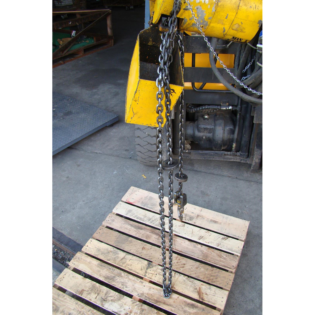 Budgit 500 Lb. Electric Chain Hoist, 230/460, 3PH, 60Hz , G3563R