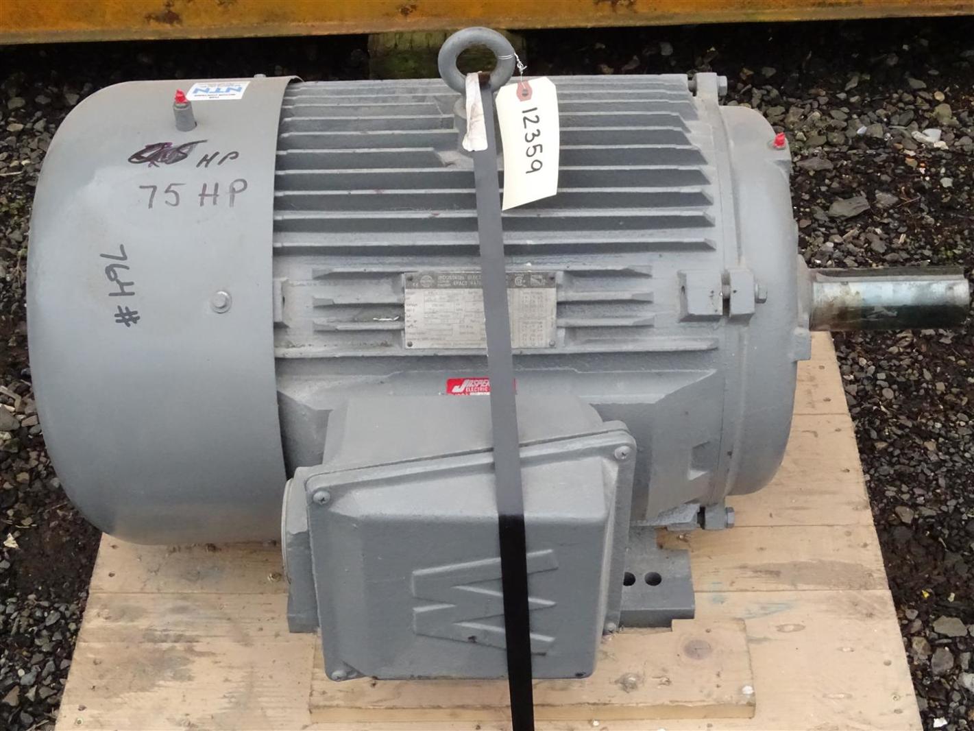 WorldWide Electric 75HP Electric Motor , WWEM7518365 Joseph Fazzio