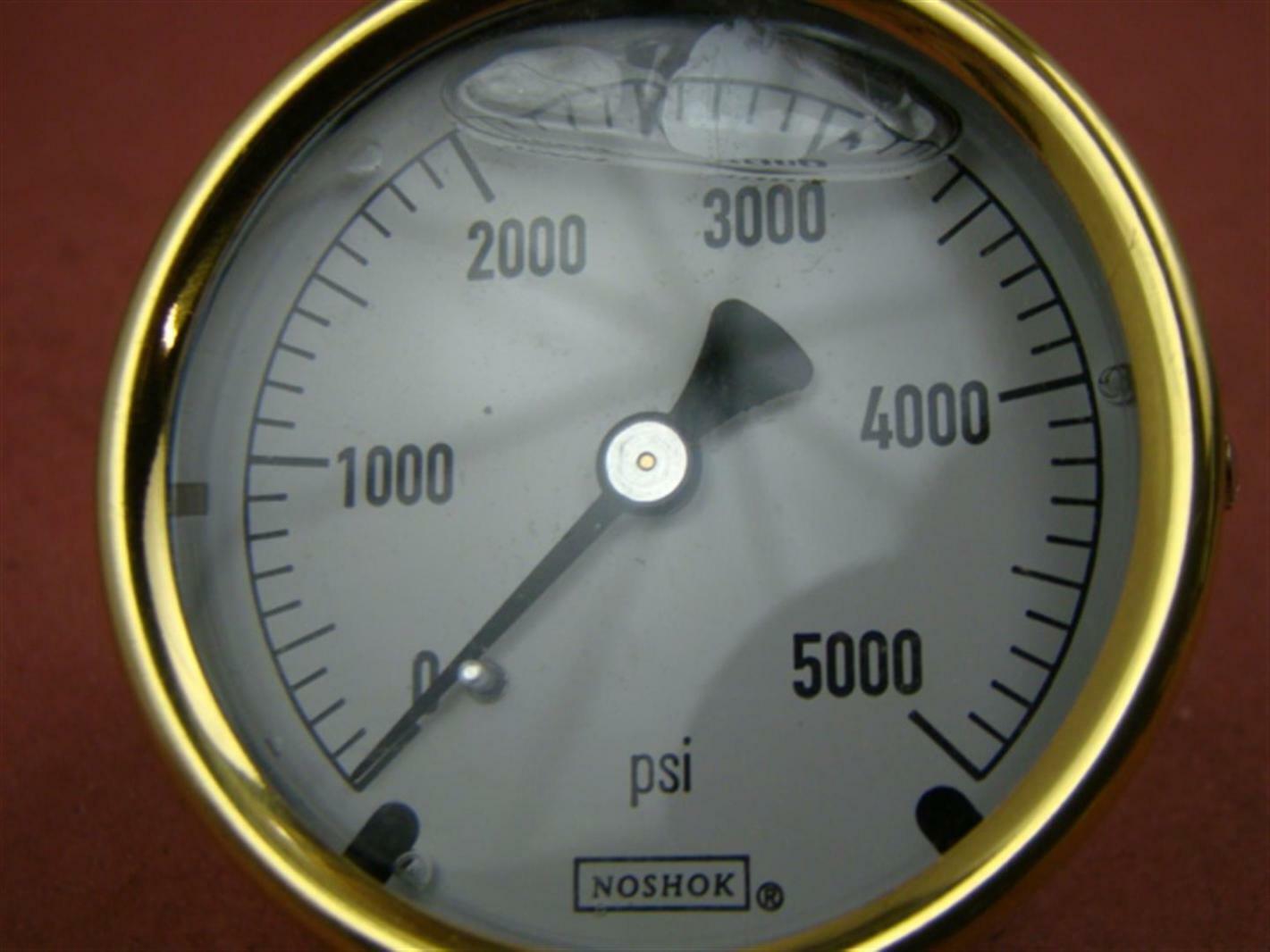 NoShok Pressure Gauge 1/4 NPT 5000 PSI Joseph Fazzio, Incorporated