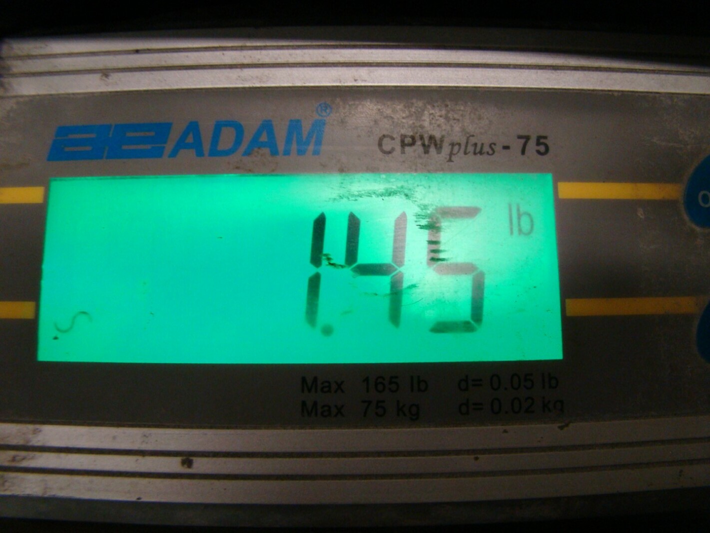 Hastings  Air Filter  , AF1052