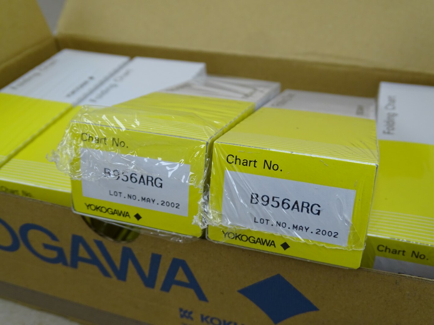 (10) Yokogawa  Folding Chart Paper , B956ARG