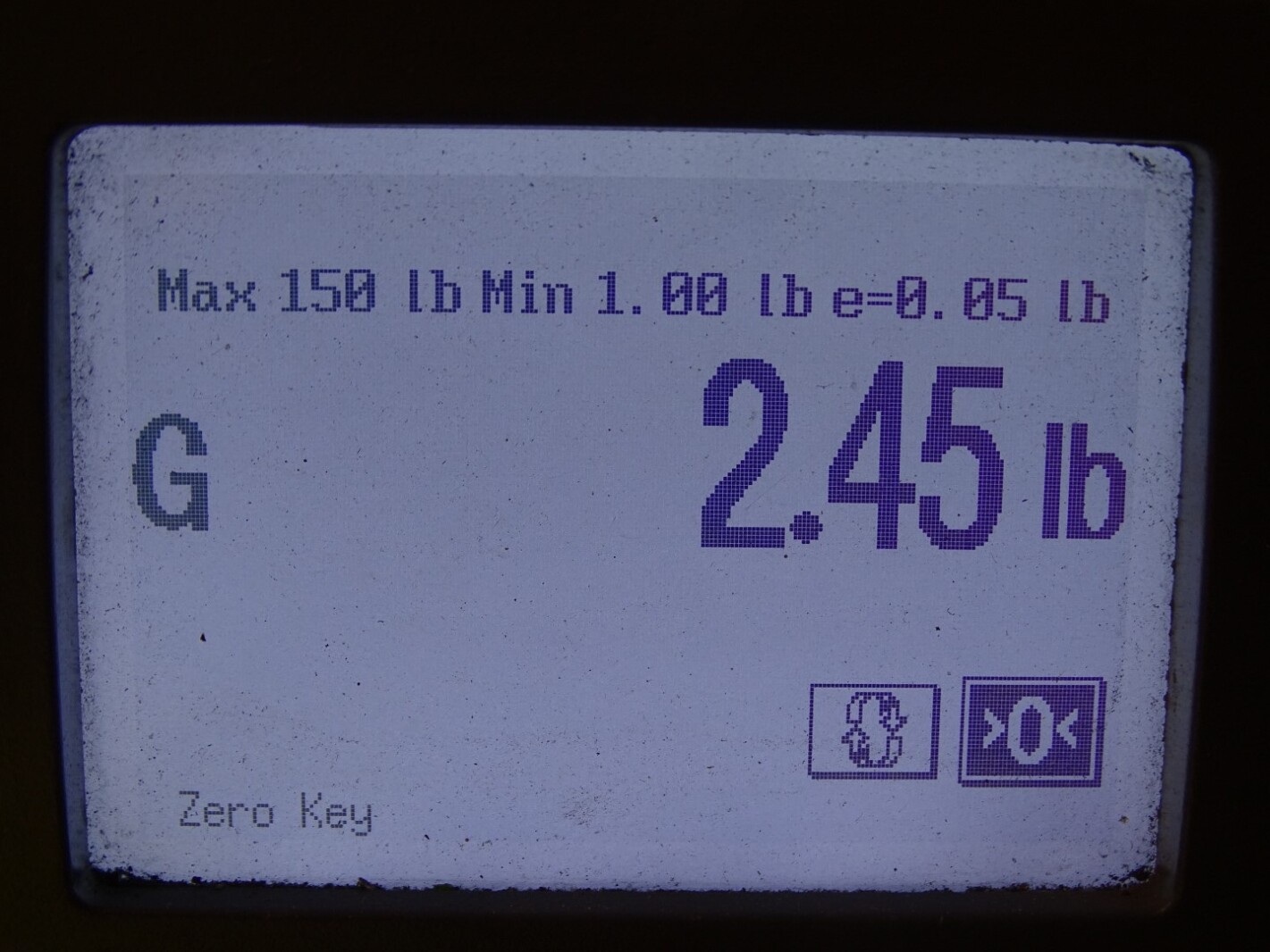 Circle Seal Bivco Stainless Steel Lift Style Check Valve 3/4