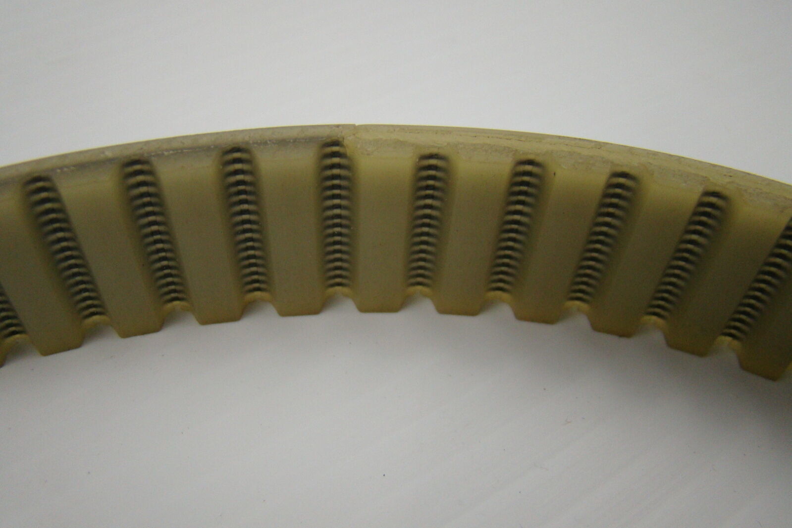 Toothed Timing Belt 25 at 10/1100 Joseph Fazzio, Incorporated