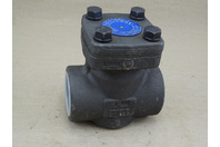 Newco 2" Class 800 Cast Iron Check Valve , 38T-FS2-NC