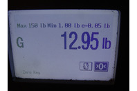 Varec Gauge Hatch Cover Assembly 6" , Series 42