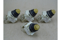 (4) Square D 30mm Light Module 120V AC/DC, 9001 KM38LR