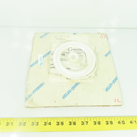 Metso Neles-Jamesbury RKW358TT Seal Repair Kit