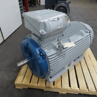 WEG MOD. TE1BF0X0N 300HP W22 NEMA Premium Electric Motor 460V 3Ph 447/9TSC