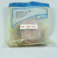 Selecta Switch BA-2RQ1-A2-BG Overtravel Plunger Limit Switch SPDT 20A 480VAC