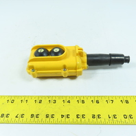 Electromotive Systems SBP 2-Button Pendant Pushbutton Station Up/Down 250V