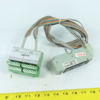 Phoenix Contact DM500SC 16-Point 120Vac DI Terminal Interface Module with Cable
