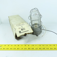 Appleton WFC1050G 100W Vaporproof Wall/Ceiling Light Fixture with Guard