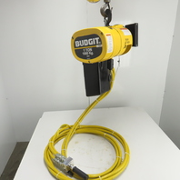 Budgit BAHCO130 1 Ton 2000LB Pneumatic Air Chain Hoist 30FPM 90 PSIG 20'Lift NEW