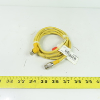 Turck WKB 3T-2-SB 3T/S90 3-Wire M12 Cordset Cable 90-Degree to Straight