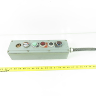 6-Element Pendant Control Station with Indicator Lights 13.5" x 4"x 3"