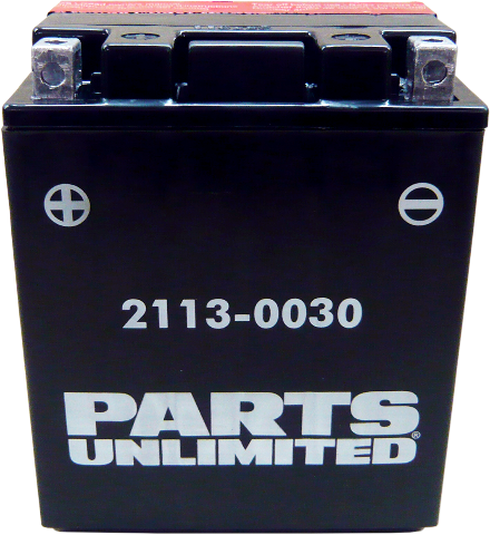 Parts Unlimited YTX14AHBS AGM Battery 1982-2017 Yamaha Honda Polaris Arctic Cat