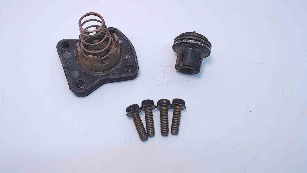 343141 435957 436195 336178 Johnson Evinrude 199705 Thermostat Kit W