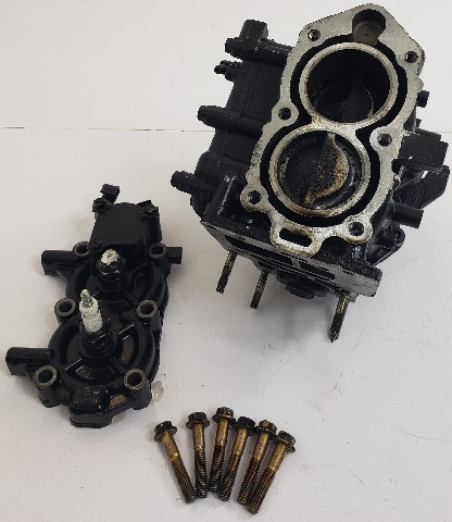 1991-95 Johnson Evinrude Complete Powerhead C# 437856 336857 5 6 8 HP FRESHWATER