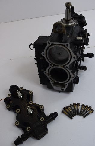 1993-1998 Johnson Evinrude Rebuilt Powerhead 40 48 50 HP 2 cylinder FRESHWATER!