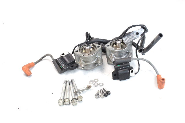 5006220 586817 Evinrude 2004-07 Fuel Injector & Ignition Coils  40-90 HP 1YR WTY