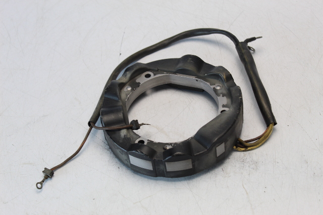 Johnson Evinrude 1974 - 1978 6 AMP Stator 70 75 HP 1 YEAR WARRANTY TESTED