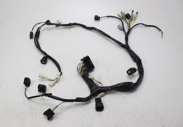 898101T51 Mercury 2006-2010 ECU Wiring Harness 25 30 HP EFI 3 Cylinder 4-Stroke
