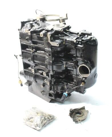 878581A34 Mercury 2006-2012 Optimax DFI 1.5L Block 80J 90 115 125 HP