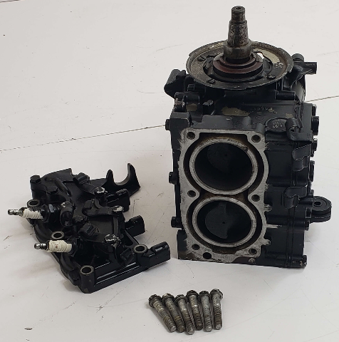 392429 C# 388184 Johnson Evinrude 1976 Powerhead Cylinder Block 9.9 15 HP 2 Cyl
