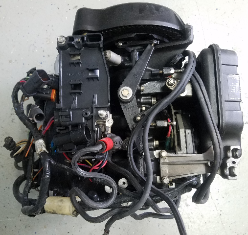 438067 Johnson Evinrude 1996-2001 Fully Dressed Powerhead 35 HP 3 Cyl