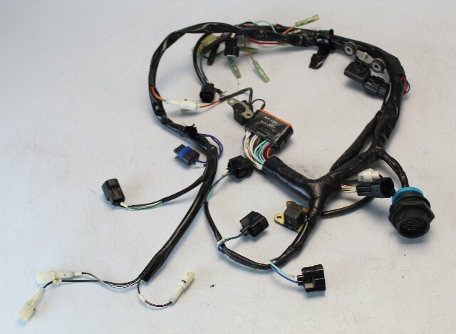 898101T51 Mercury 2006-2010 ECU Harness Assembly 25 30 HP 4-Stroke EFI 3 Cylinder