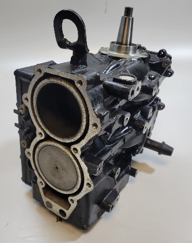 332401 Johnson Evinrude 1993-2005 Powerhead 40 48 50 HP 2 Cylinder 2-Stroke
