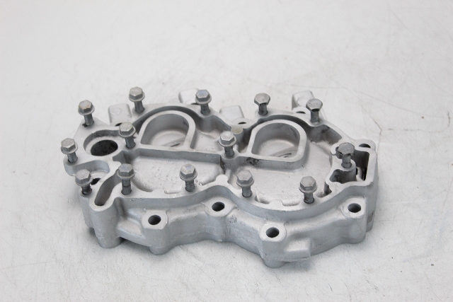 324319 Johnson Evinrude 1979-1981 Cylinder Head 25 35 HP 2 Cylinder