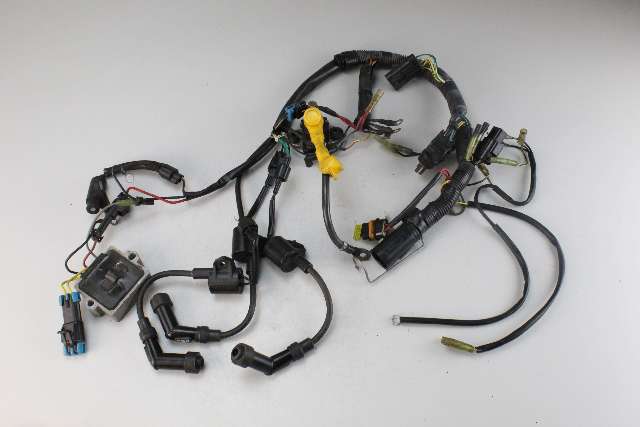 854781A2 Mercury 1999-2001 Wiring Harness & Coils 30 40 HP 4-Stroke 1 YEAR WTY!