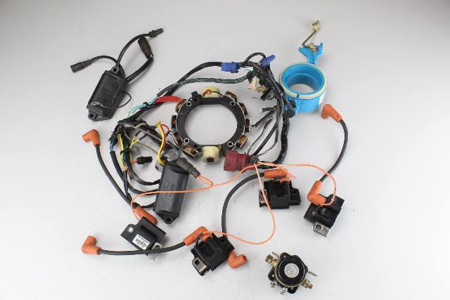 582053 581987 Johnson Evinrude 1979 Ignition System 85 100 115 140 HP 1 YR WTY
